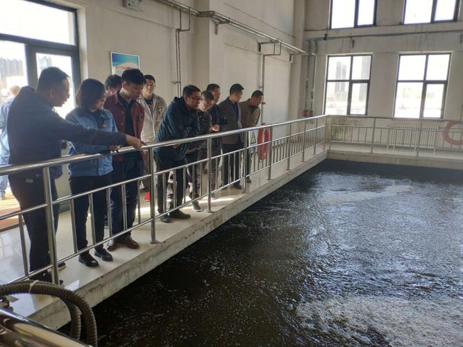 辛辛板污水处理厂4月3日工作日报